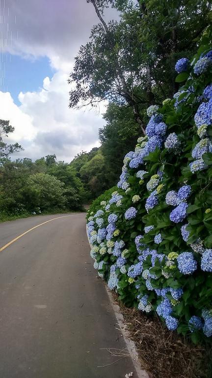 Caminho Das Colinas Грамаду Экстерьер фото